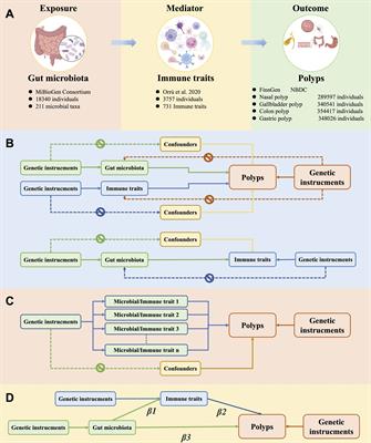 Dissecting the causal links between gut microbiome, immune traits and polyp using genetic evidence